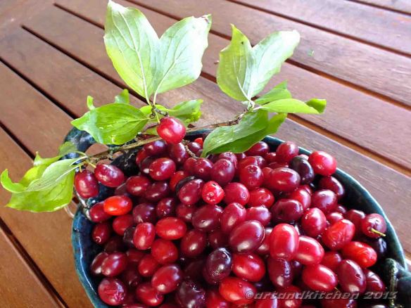 Cornelian Cherries